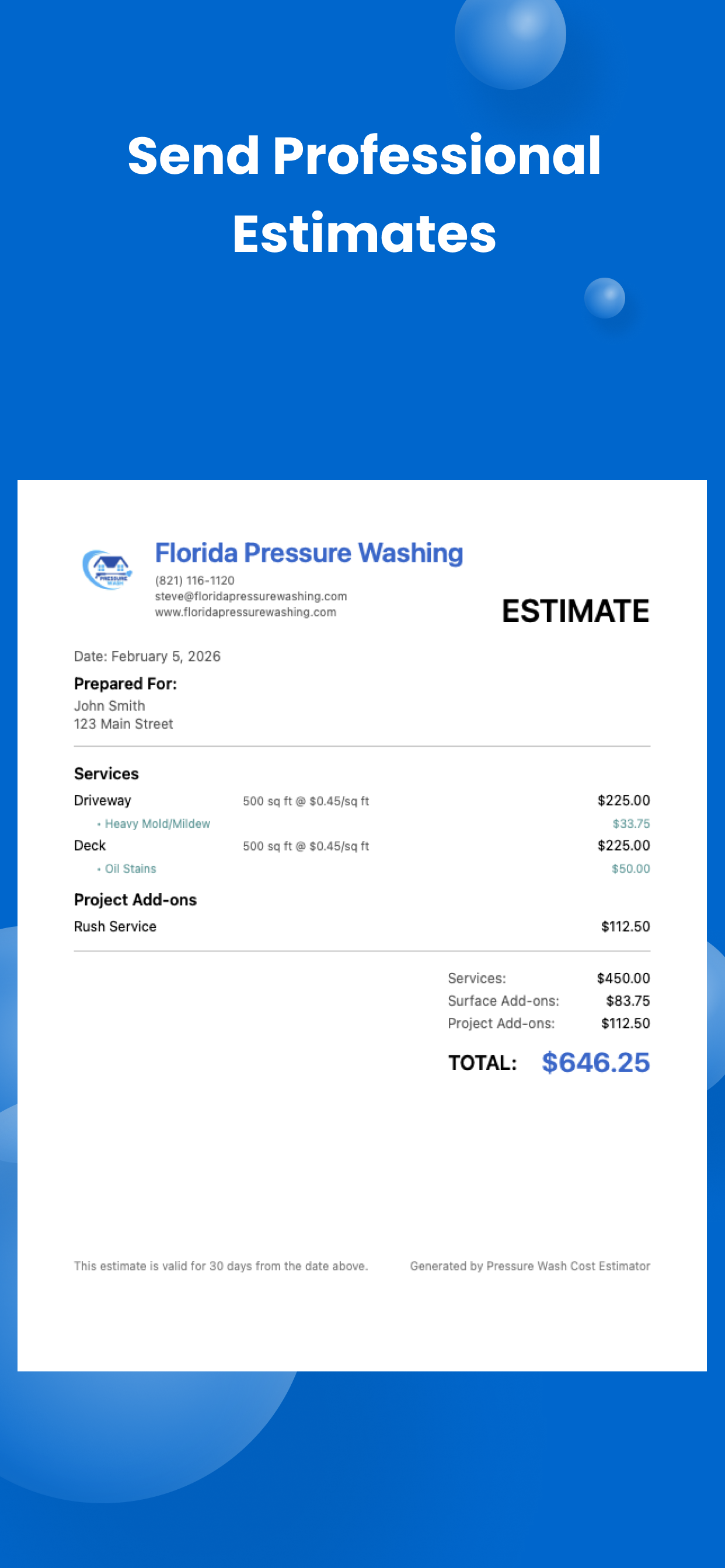 Professional PDF screenshot placeholder